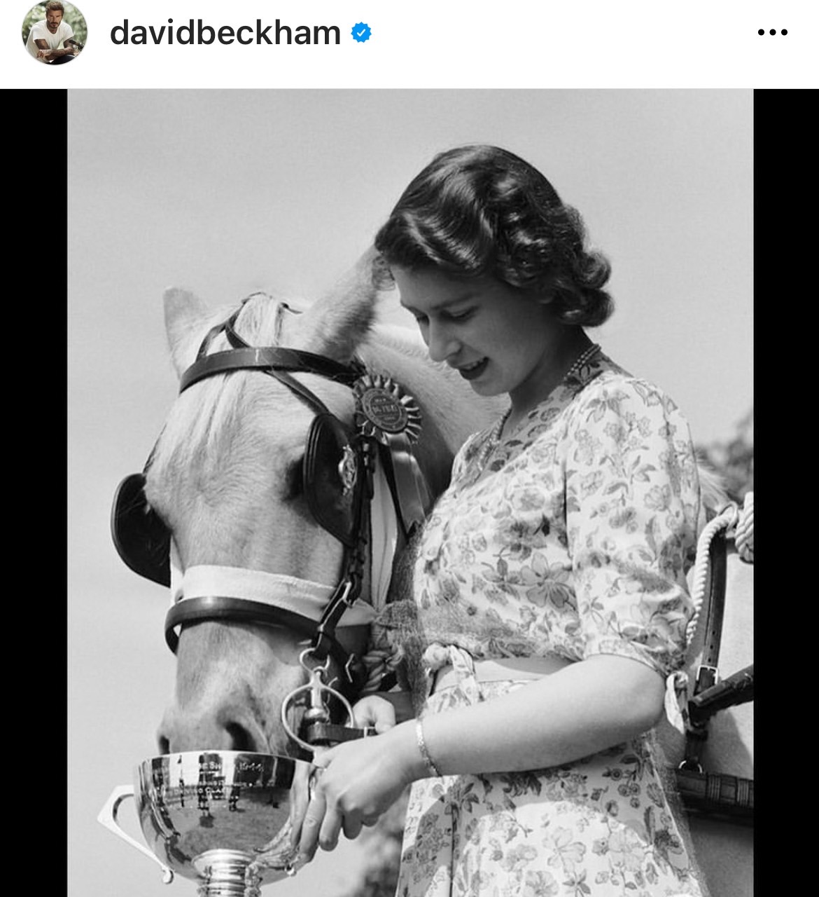  “Helen Mirren” นำทัพคนบันเทิงโลกถวายอาลัย “ควีนเอลิซาเบธที่ 2”