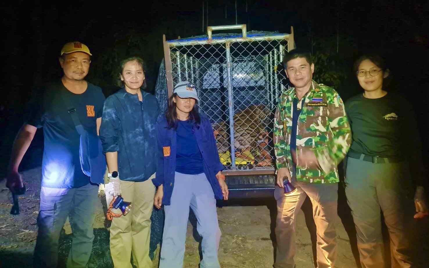จับได้แล้ว! ยิงยาสลบเสือโคร่ง “บะลาโกล” สิ้นฤทธิ์หลังกินหมูชาวบ้าน จับได้แล้ว! ยิงยาสลบเสือโคร่ง “บะลาโกล” สิ้นฤทธิ์หลังกินหมูชาวบ้าน