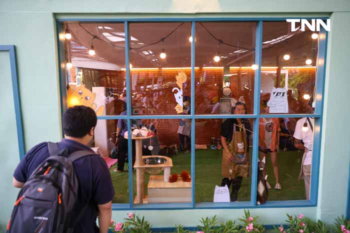 กทม.ชวนหาบ้านให้น้องแมว พบป่ะคนรักสัตว์ในงาน BKK EXPO 2024 กทม.ชวนหาบ้านให้น้องแมว พบป่ะคนรักสัตว์ในงาน BKK EXPO 2024