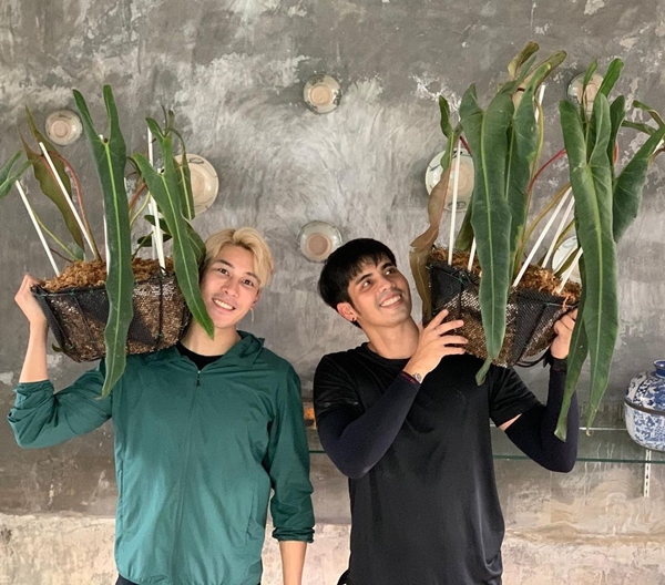 เคน ภูภูมิ ไลฟ์ประมูลต้นไม้ ได้ 8 แสนกว่า สมบททุนให้ครบ 1 ล้าน มอบให้โรงพยาบาล