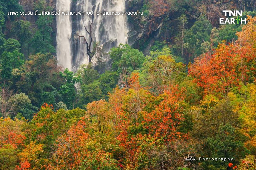 ชวนชม “ป่าเปลี่ยนสี” 1 ปีมีครั้งเดียว ที่คลองลาน จ.กำแพงเพชร ชวนชม “ป่าเปลี่ยนสี” 1 ปีมีครั้งเดียว ที่คลองลาน จ.กำแพงเพชร