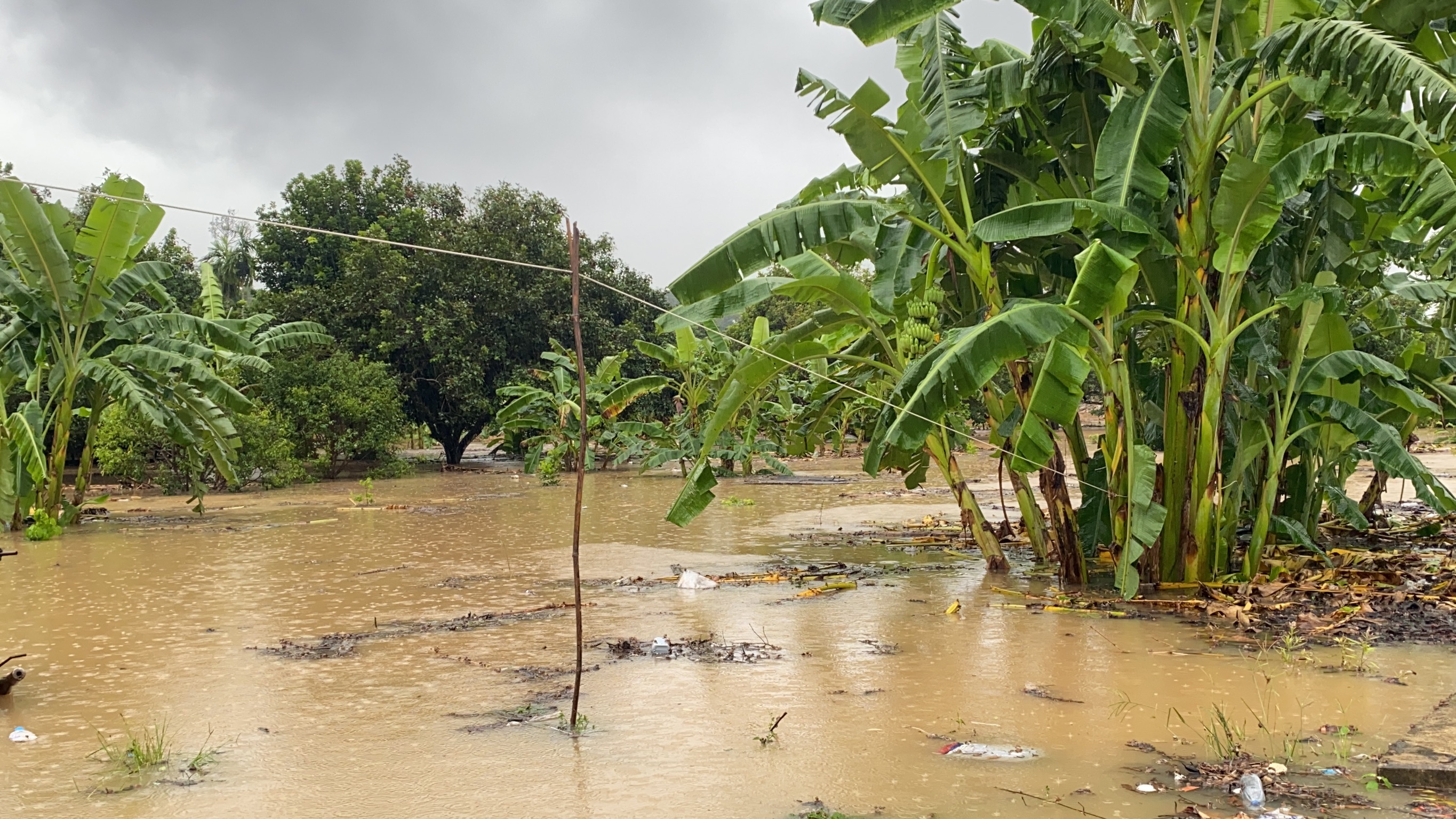 ฝนถล่มจันทบุรี! น้ำตกพริ้ว เตือนระวังน้ำป่าไหลหลาก ฝนถล่มจันทบุรี! น้ำตกพริ้ว เตือนระวังน้ำป่าไหลหลาก