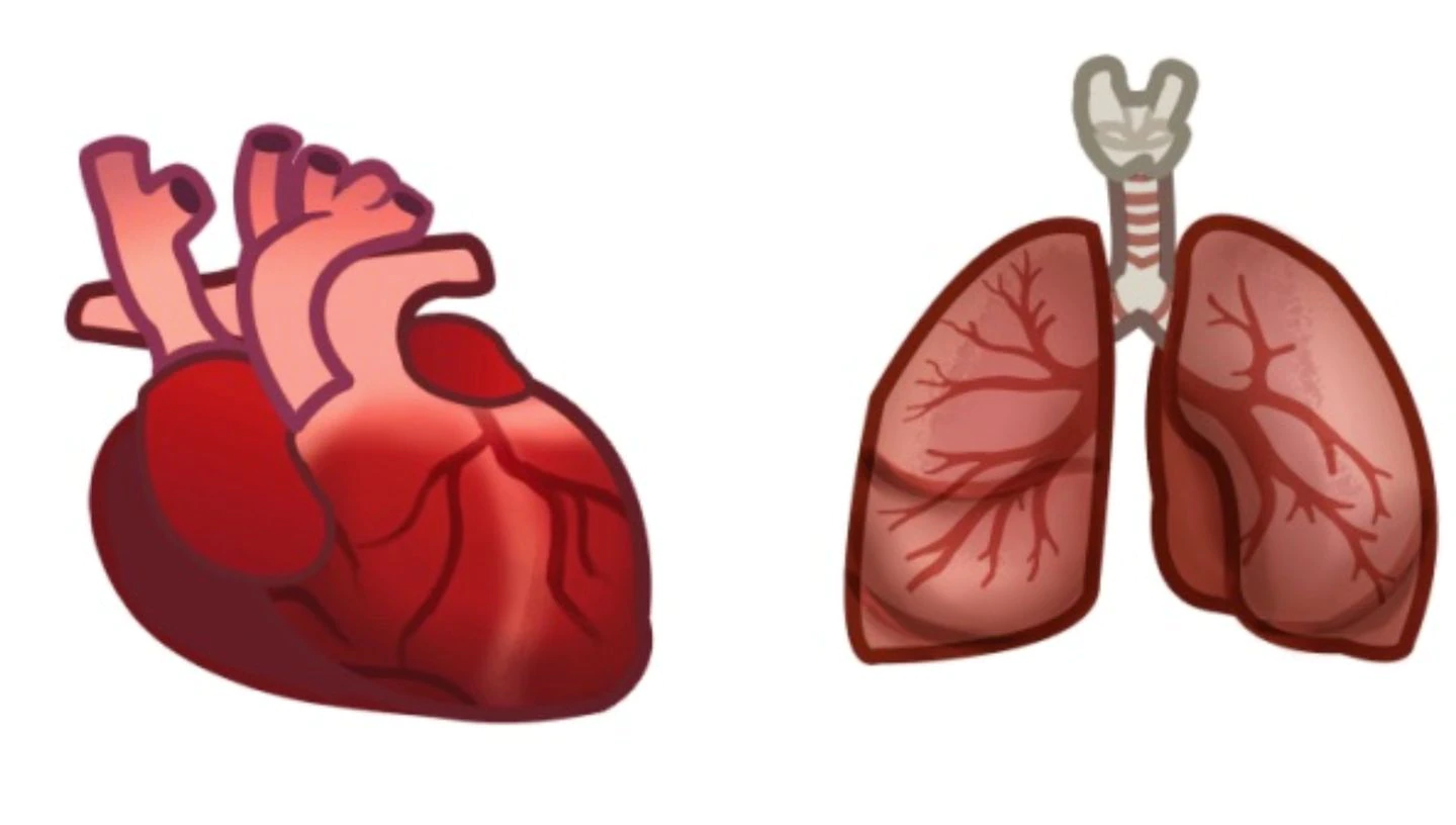 โลกทางการแพทย์ต้องการ Emoji ช่วยให้หมอสื่อสารกับคนไข้ได้ง่ายขึ้น โลกทางการแพทย์ต้องการ Emoji ช่วยให้หมอสื่อสารกับคนไข้ได้ง่ายขึ้น