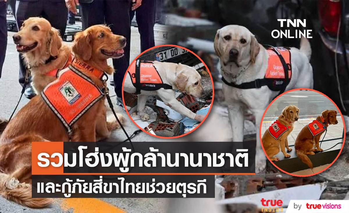  "กู้ภัยสี่ขา" จากไทยและทั่วโลกร่วมภารกิจกู้ภัยแผ่นดินไหวที่ตุรกี [มีคลิป] 
