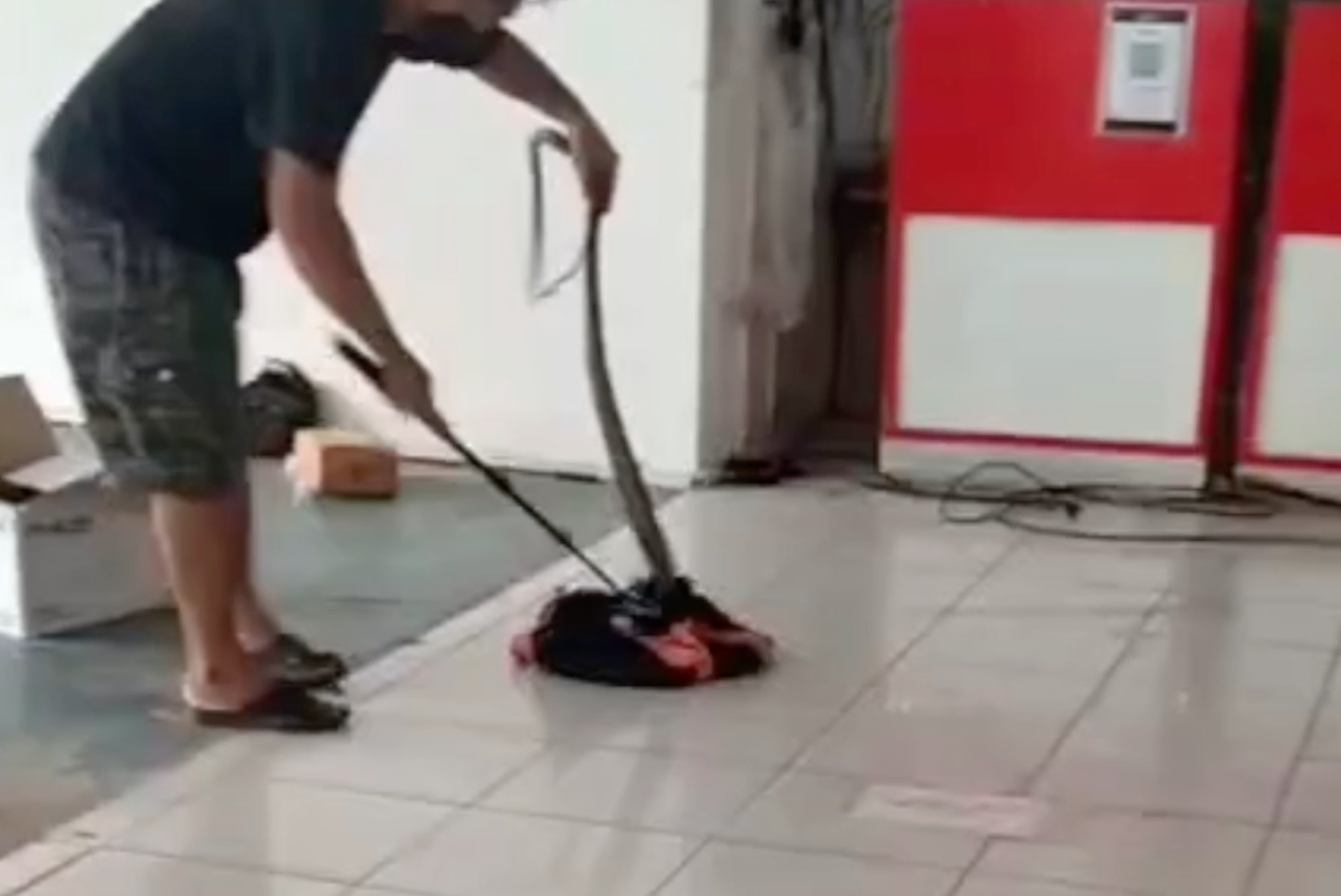 ขนส่งดังผงะ! ลูกค้าแอบส่ง “งูจงอางยาว 5 เมตร ” เรียกกู้ภัยจับวุ่น