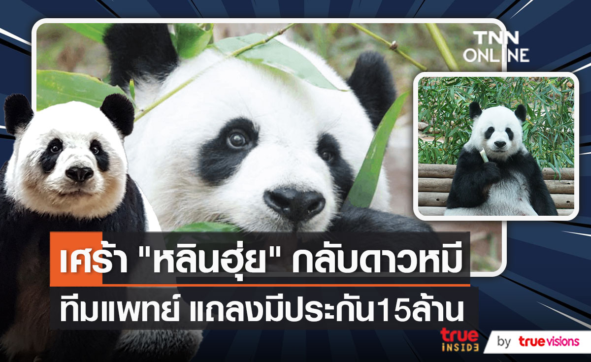 สวนสัตว์เชียงใหม่แถลงสาเหตุการตาย “หลินฮุ่ย”   (มีคลิป)