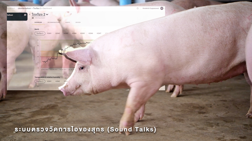 ซีพีเอฟ ถ่ายทอดระบบ “ฟาร์มอัจฉริยะ ดันเกษตรกรคอนแทรคฟาร์มมิ่ง