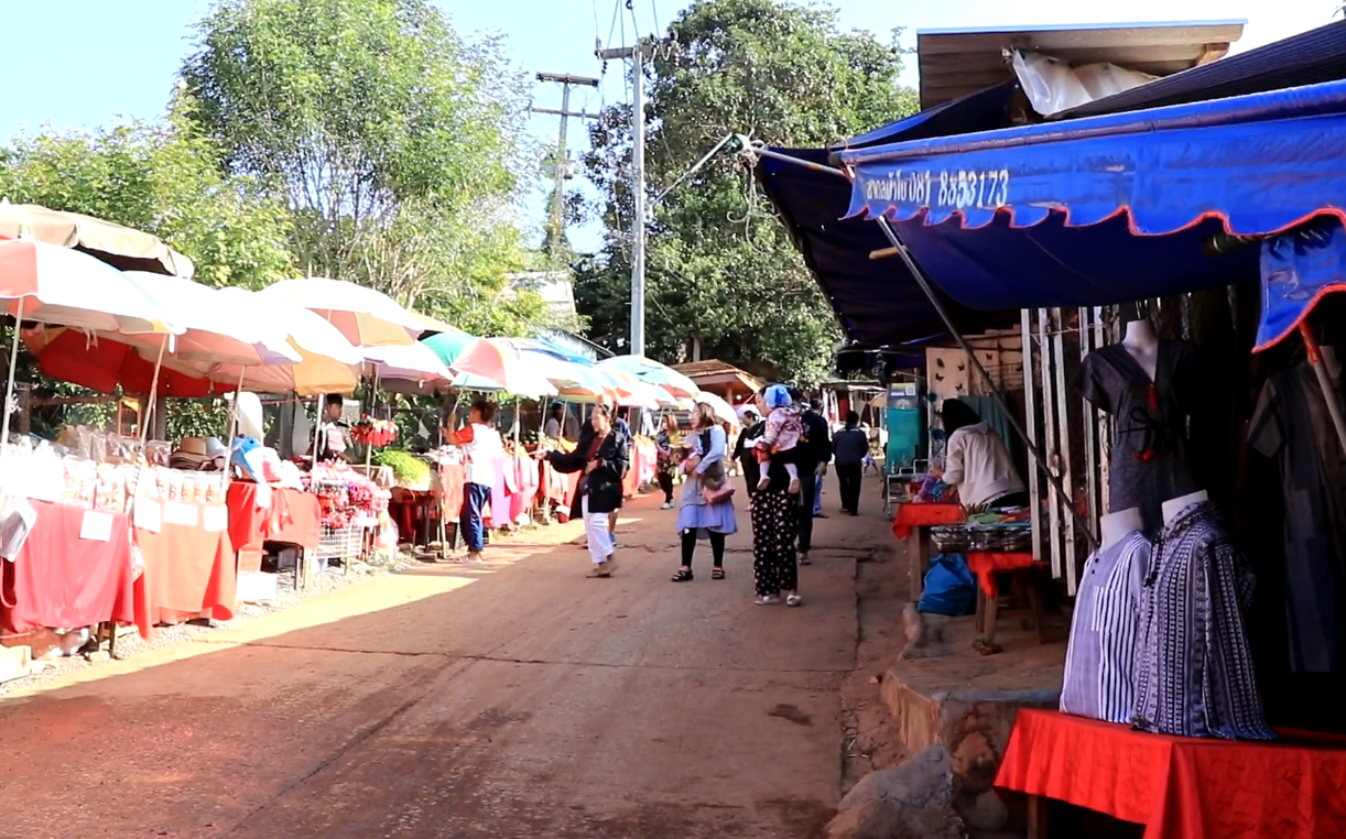 ดอยม่อนแจ่ม นทท.แห่สัมผัสลมหนาว ดอกไม้หลากสีตระการตา 