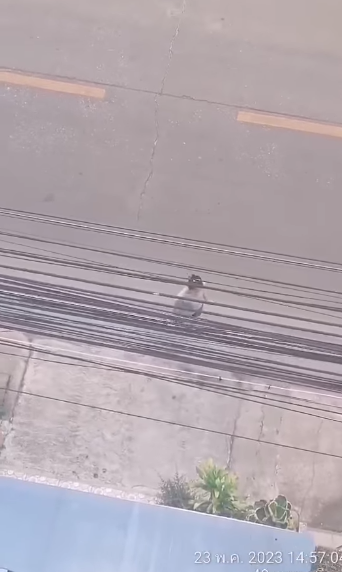 ดีใจยิ่งกว่าถูกหวย! โก้ ธีรศักดิ์ โล่งอก เพื่อนบ้านมหาภัยโดนตำรวจรวบแล้ว ดีใจยิ่งกว่าถูกหวย! โก้ ธีรศักดิ์ โล่งอก เพื่อนบ้านมหาภัยโดนตำรวจรวบแล้ว