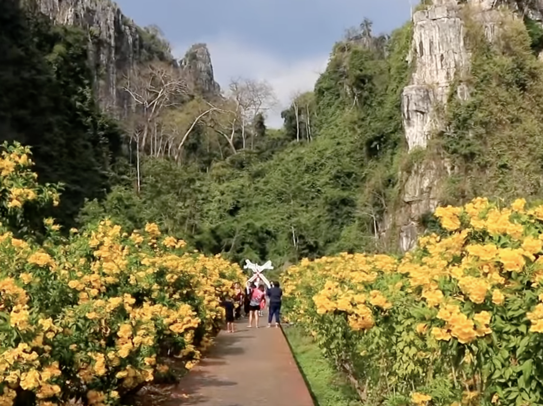 ตื่นตา ฝูงค้างคาว บินออกจากถ้ำเขาหินปูน 360 ล้านปี ตื่นตา ฝูงค้างคาว บินออกจากถ้ำเขาหินปูน 360 ล้านปี