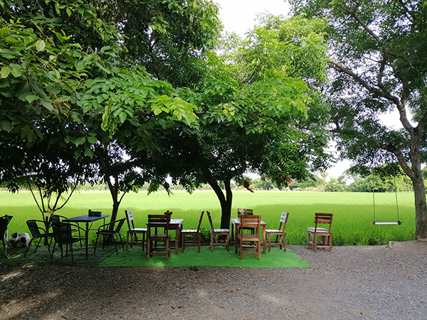 10 คาเฟ่มีนบุรี-หนองจอก คาเฟ่สุดชิค โอบล้อมธรรมชาติสุดฟิน