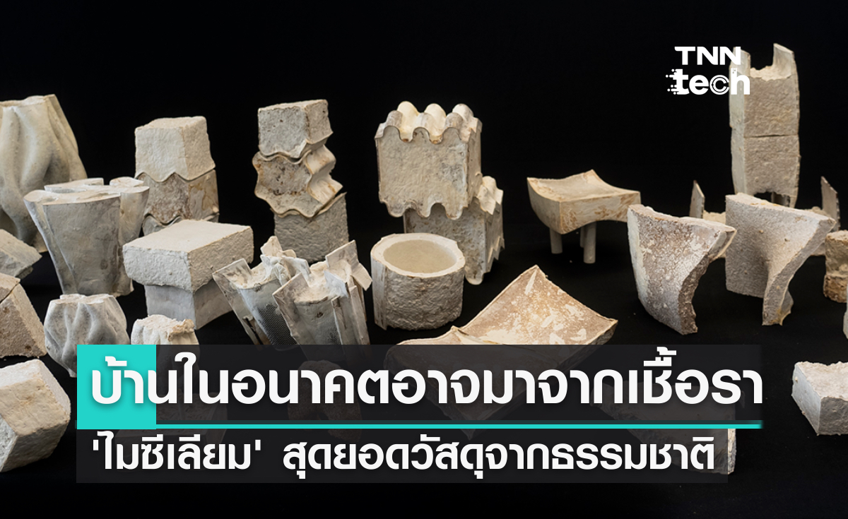 บ้านในอนาคตอาจสร้างจากเชื้อรา วัสดุใหม่จากไมซีเลียม