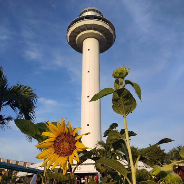 10 ที่เที่ยวมุกดาหาร 2565 ชมวิวริมฝั่งโขง เช็กอินธรรมชาติสุดฟิน 10 ที่เที่ยวมุกดาหาร 2565 ชมวิวริมฝั่งโขง เช็กอินธรรมชาติสุดฟิน