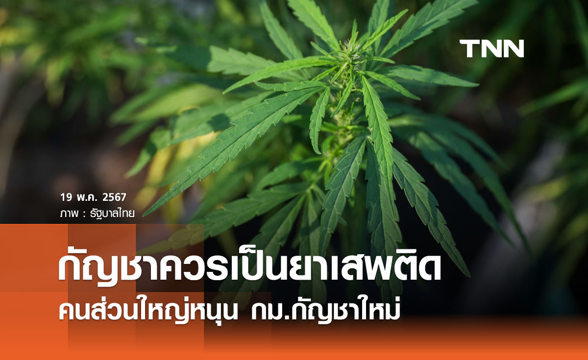 คนส่วนใหญ่เห็นด้วย ดึงกัญชากลับเข้าบัญชียาเสพติด