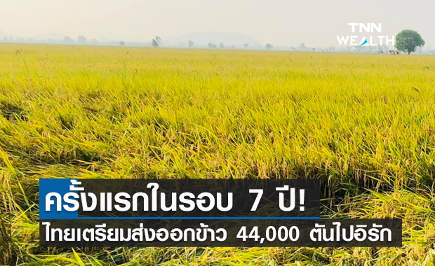 ปลื้ม! ไทยเตรียมส่งออกข้าว 44,000 ตัน ไปอิรักครั้งแรกในรอบ 7 ปี