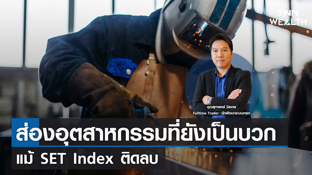ส่องอุตสาหกรรมที่ยังเป็นบวก แม้ SET Index ติดลบ I TNN WEALTH 6 ก.ย. 65