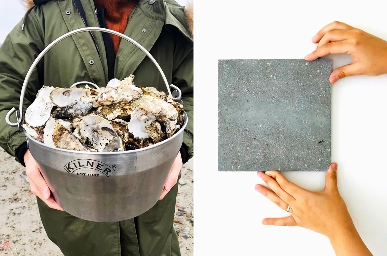 โลกไปไกล !? เปลี่ยน ซากหอย เป็นคอนกรีต โลกไปไกล !? เปลี่ยน ซากหอย เป็นคอนกรีต