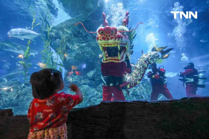 มังกรใต้สมุทร ซีไลฟ์ แบงคอก ร่วมต้อนรับเทศกาลตรุษจีน