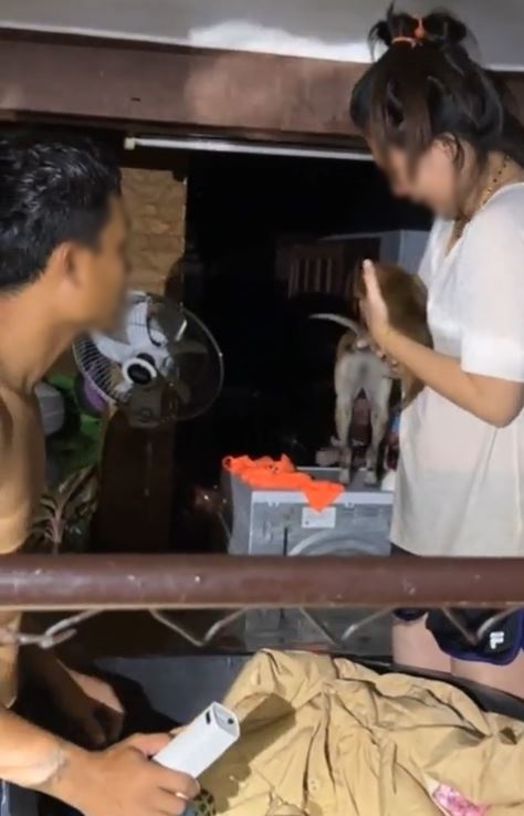 พิษพายุไลออนร็อก!! ฝันดี-ฝันเด่น เจอเรื่องสะเทือนใจ หลังลงพื้นที่ช่วยน้ำท่วมที่จันทบุรี