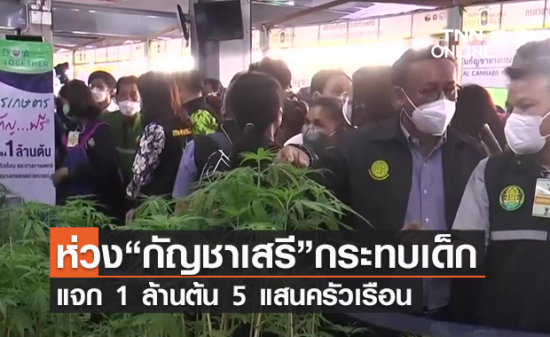 (คลิป) ห่วง “กัญชาเสรี” กระทบเด็กแจก 1 ล้านต้น 5 แสนครัวเรือน