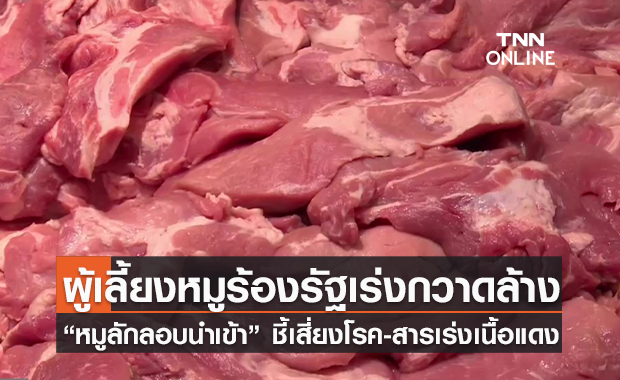 (คลิป) ผู้เลี้ยงหมูร้องรัฐเร่งกวาดล้าง “หมูลักลอบนำเข้า” ชี้เสี่ยงโรค-สารเร่งเนื้อแดง