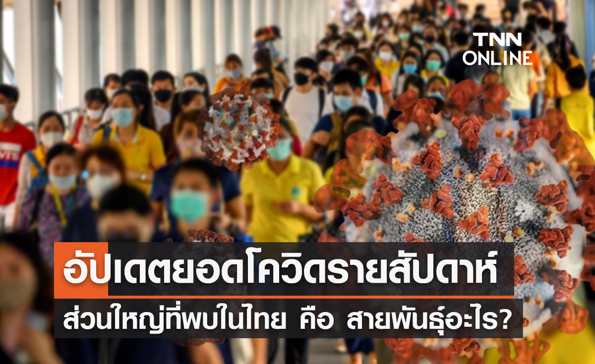 "อัปเดตยอดโควิด" สธ.เผยส่วนใหญ่ที่พบในไทย คือสายพันธุ์นี้?