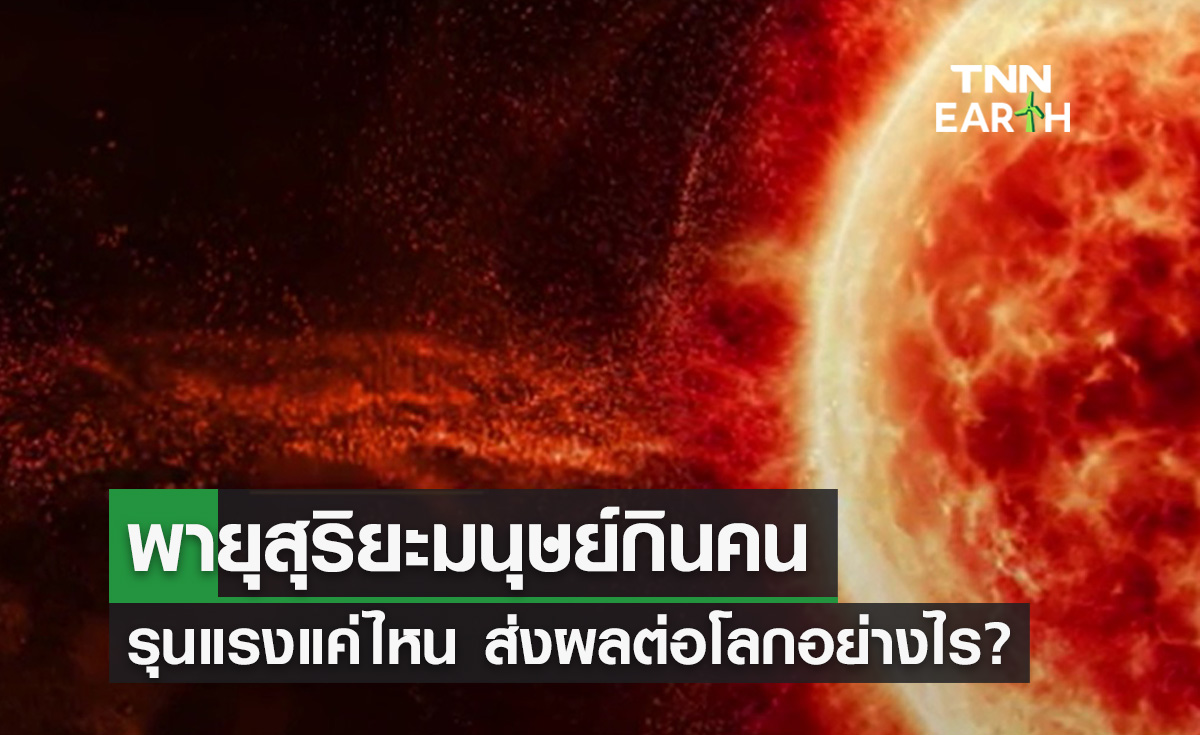 ปรากฏการณ์ "พายุสุริยะมนุษย์กินคน" รุนแรงแค่ไหน ส่งผลต่อโลกอย่างไร?