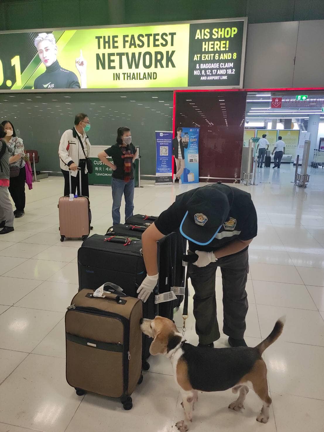 ไม่รอด! สารวัตรบีเกิ้ล บุกรวบเนื้อสัตว์รมควันเถื่อนคาสนามบินสุวรรณภูมิ