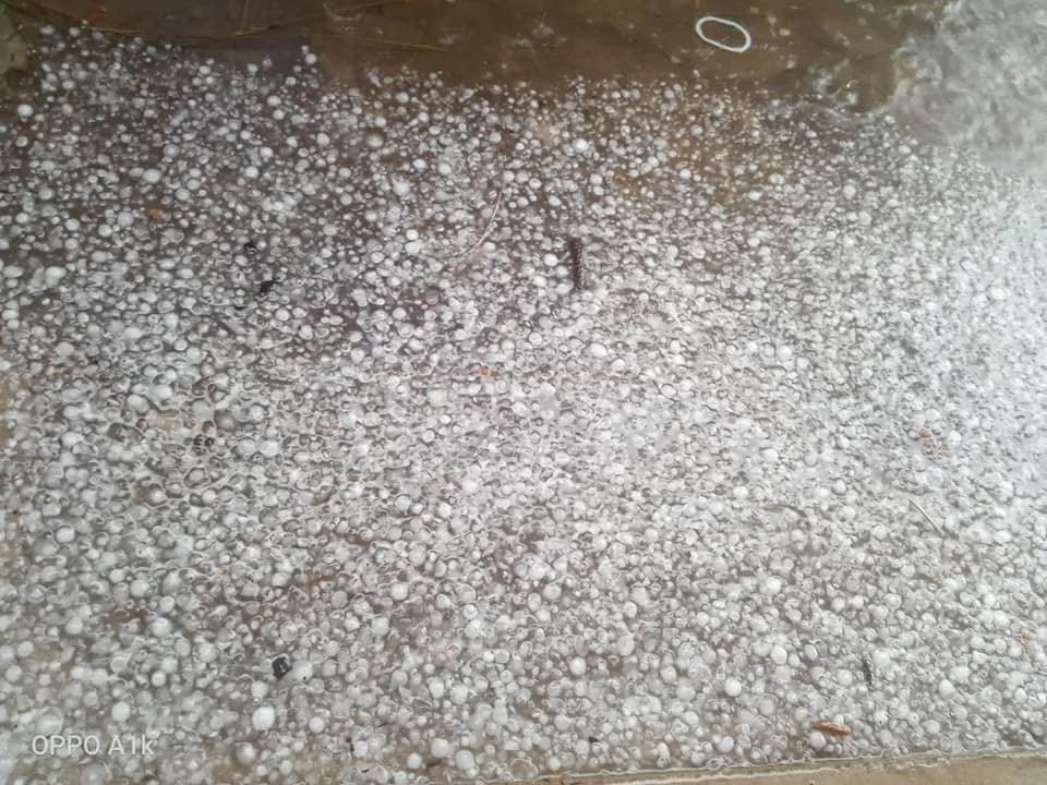 ขาวโพลน! พายุลูกเห็บตกบนยอดภูกระดึง ขาวโพลน! พายุลูกเห็บตกบนยอดภูกระดึง