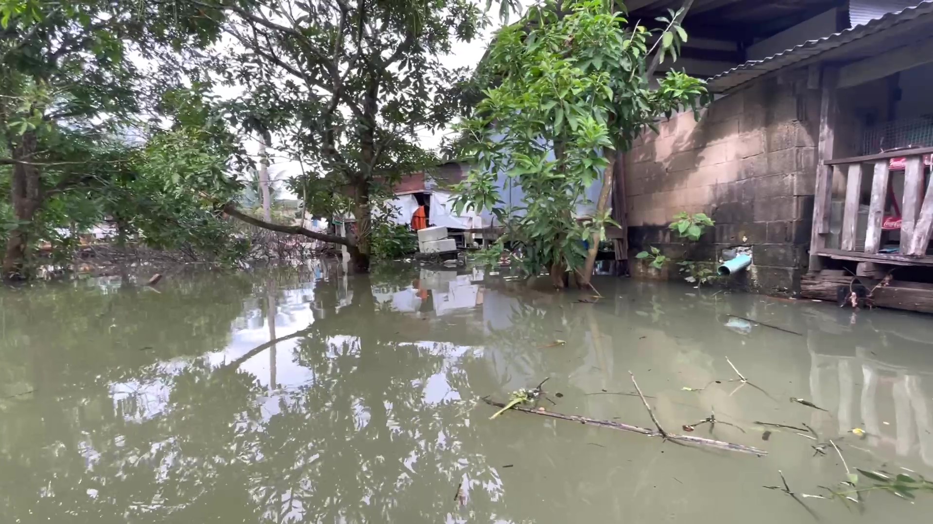 ข่าวน้ำท่วมล่าสุด 25 ต.ค. หลายพื้นที่ยังอ่วม กาฬสินธ์ุซ่อมพนังน้ำชีเสร็จแล้ว ข่าวน้ำท่วมล่าสุด 25 ต.ค. หลายพื้นที่ยังอ่วม กาฬสินธ์ุซ่อมพนังน้ำชีเสร็จแล้ว