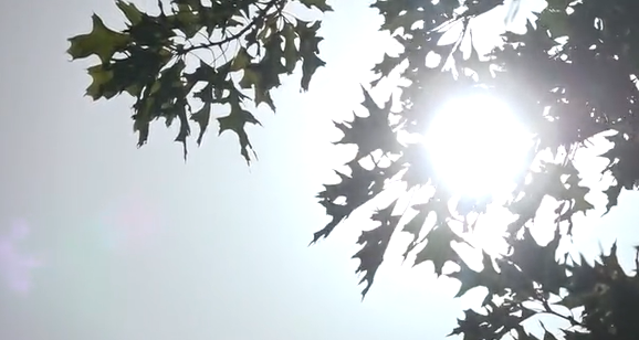 สภาพอากาศ 41 องศาฯ! คลื่นความร้อนยุโรปดันยอดผู้เสียชีวิตพุ่งกว่า 1,700 ราย