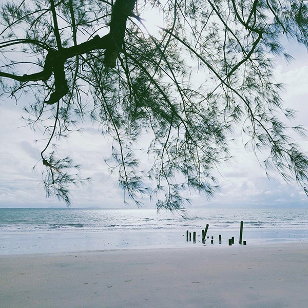 12 ที่เที่ยวระนอง 2565 สัมผัสเมืองรอง อันซีนทะเลอันดามัน 12 ที่เที่ยวระนอง 2565 สัมผัสเมืองรอง อันซีนทะเลอันดามัน