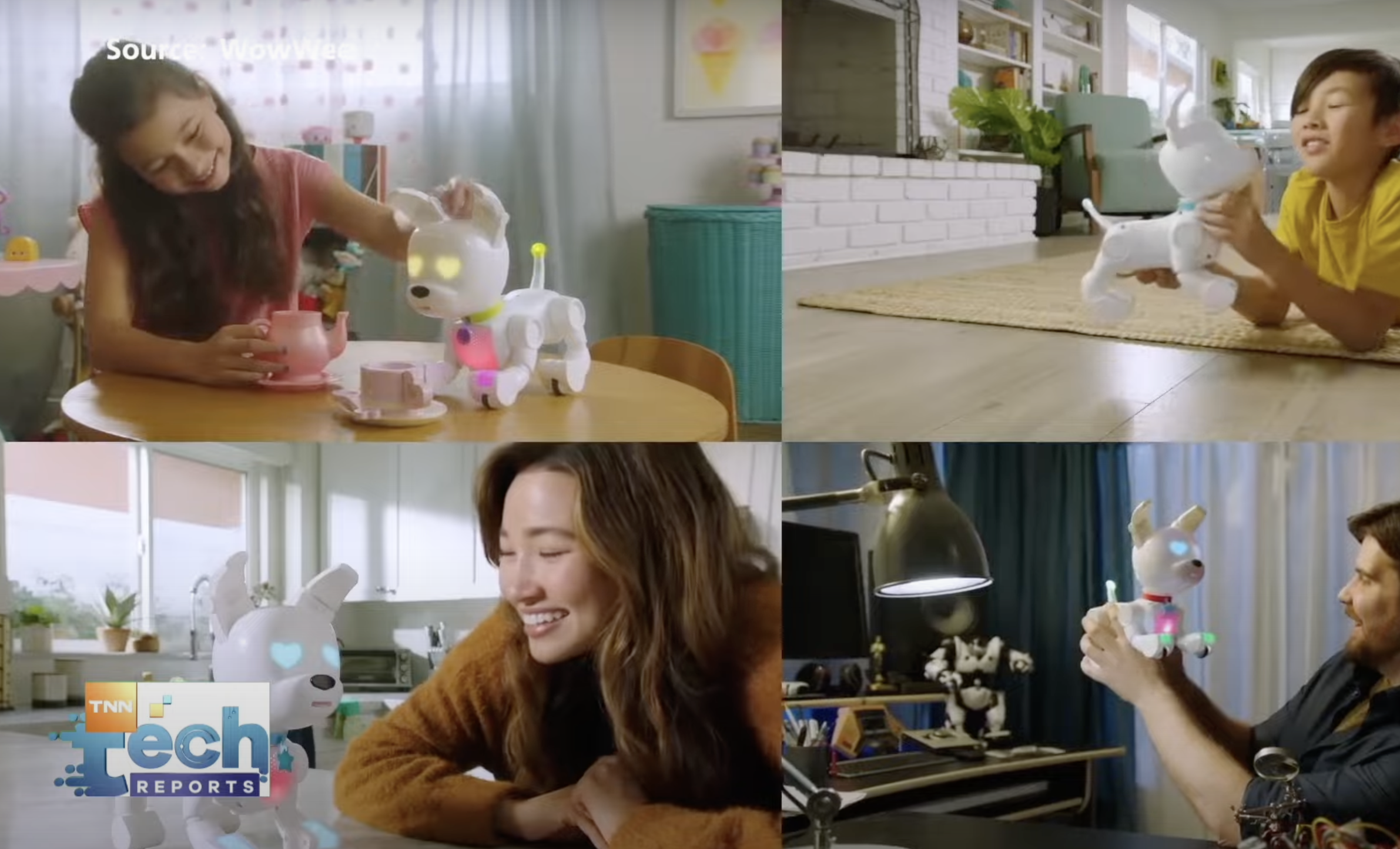 3 หุ่นยนต์สัตว์เลี้ยงสุดไฮเทค ไอเทมแก้เหงาประจำบ้าน | TNN Tech Reports 3 หุ่นยนต์สัตว์เลี้ยงสุดไฮเทค ไอเทมแก้เหงาประจำบ้าน | TNN Tech Reports