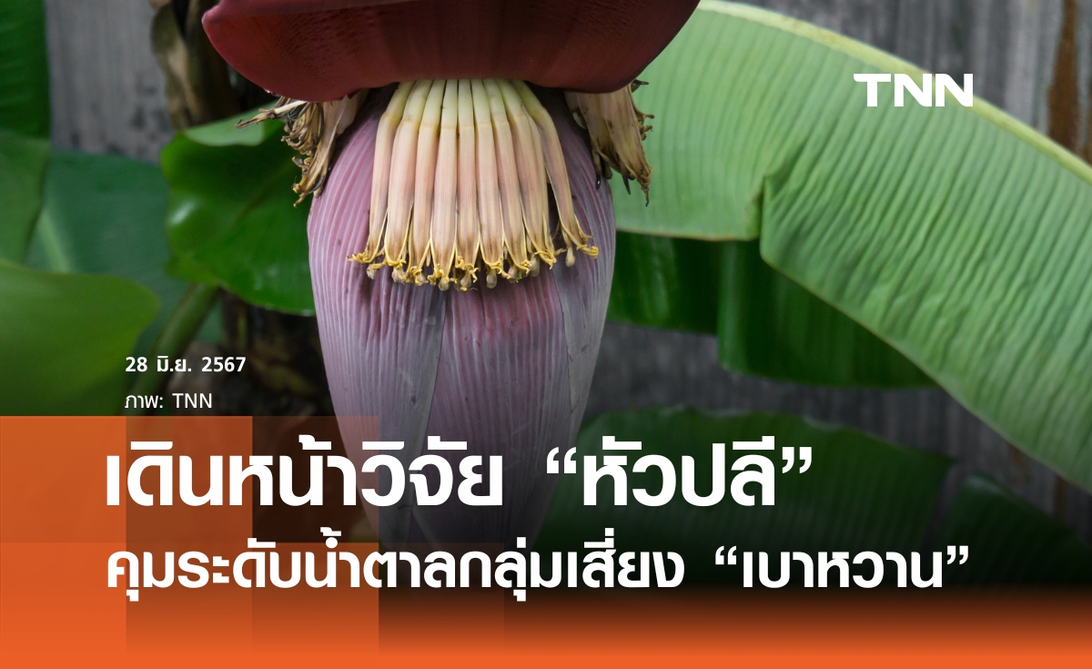 ร่วมเป็นอาสาสมัครวิจัย “ผลหัวปลีต่อการควบคุมระดับน้ำตาล"
