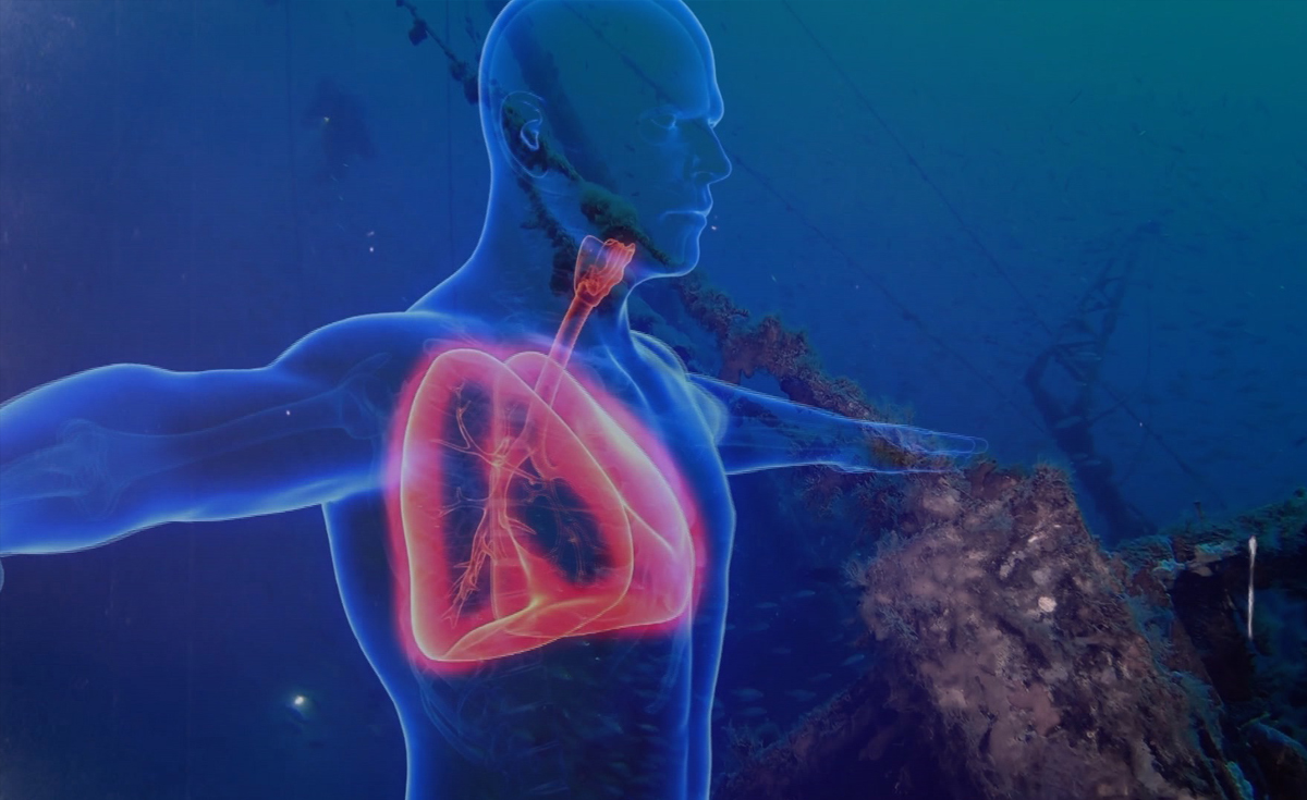 TNN Exclusive : บทเรียน “ไททัน” ความเสี่ยงใต้ท้องทะเลลึก TNN Exclusive : บทเรียน “ไททัน” ความเสี่ยงใต้ท้องทะเลลึก