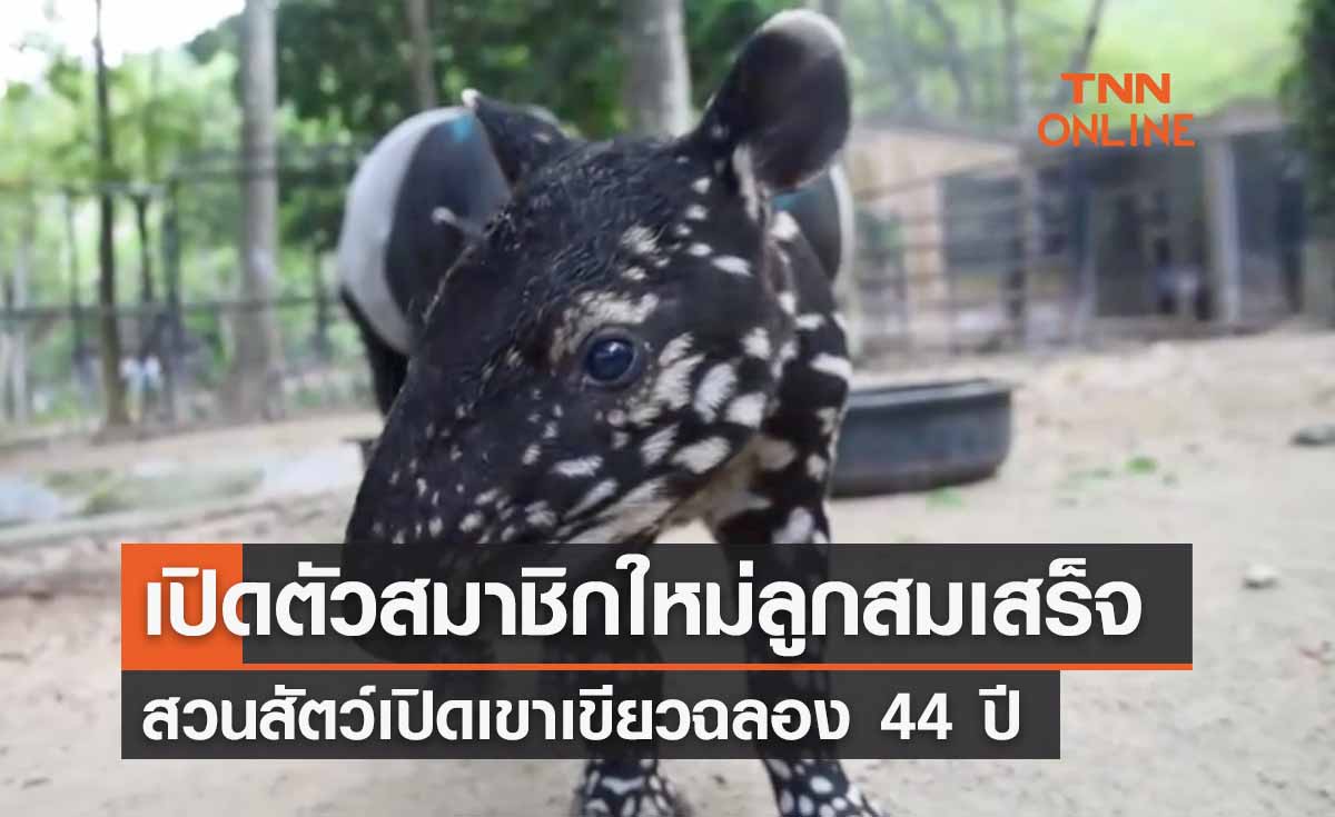 ฉลอง 44 ปี สวนสัตว์เปิดเขาเขียว เปิดตัวสมาชิกใหม่ "ลูกสมเสร็จ"