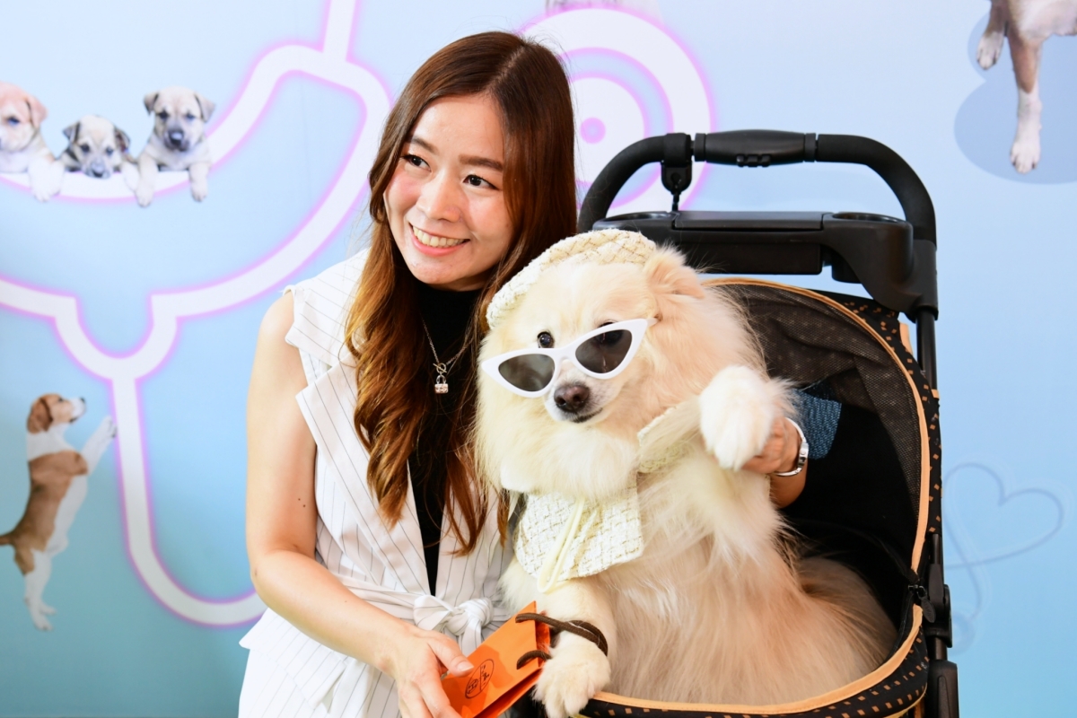 Jerhigh สานต่อ 'หมอหมาใจหล่อ ปี 4' ส่งต่อความรักด้วยอาหารช่วยหมาจร 