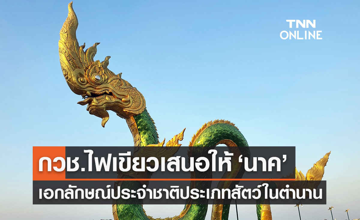 คกก.วัฒนธรรมแห่งชาติ เสนอ "นาค" เป็นเอกลักษณ์ประจำชาติ ประเภทสัตว์ในตำนาน