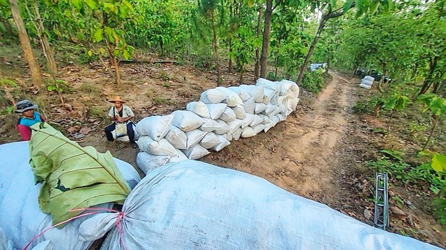 รองผู้ว่าฯ เชียงใหม่ ลงพื้นที่ตรวจเยี่ยมให้กำลังใจชุมชนในโครงการ “ป่าปลอดเผา” อ.เวียงแหง จ.เชียงใหม่ สนับสนุนโดยเครือซีพี รองผู้ว่าฯ เชียงใหม่ ลงพื้นที่ตรวจเยี่ยมให้กำลังใจชุมชนในโครงการ “ป่าปลอดเผา” อ.เวียงแหง จ.เชียงใหม่ สนับสนุนโดยเครือซีพี