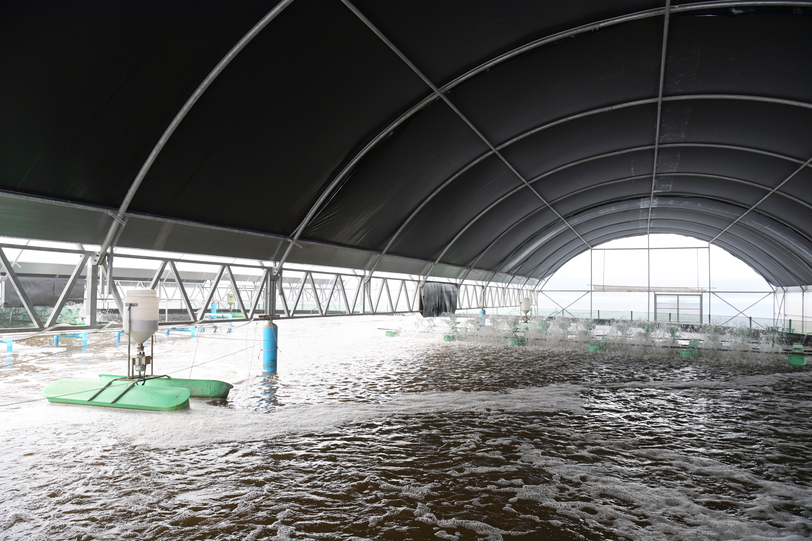 นักวิชาการ CPF ชู “โปรไบโอติก” นวัตกรรมการเลี้ยงกุ้งปลอดภัย ปลอดโรค ปลอดสาร นักวิชาการ CPF ชู “โปรไบโอติก” นวัตกรรมการเลี้ยงกุ้งปลอดภัย ปลอดโรค ปลอดสาร