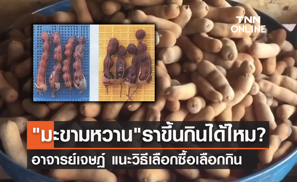 "มะขามหวาน" มีราขึ้นกินได้ไหม? อาจารย์เจษฎ์แนะวิธีเลือกซื้อเลือกกิน