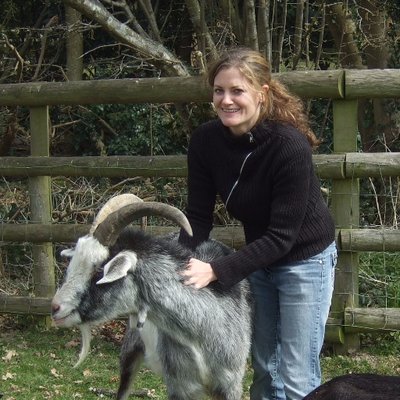 อู๊ดอู๊ดแปลว่า? นักวิทยาศาสตร์คิดค้นระบบแปลภาษาหมู สร้างความเข้าใจให้ผู้เลี้ยงมากขึ้น