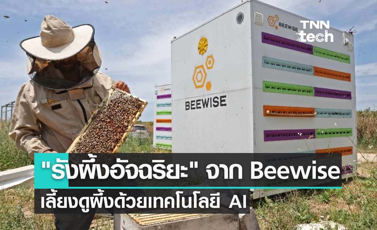 อิสราเอลพัฒนา "รังผึ้งอัจฉริยะ" เลี้ยงดูผึ้งด้วยเทคโนโลยี AI