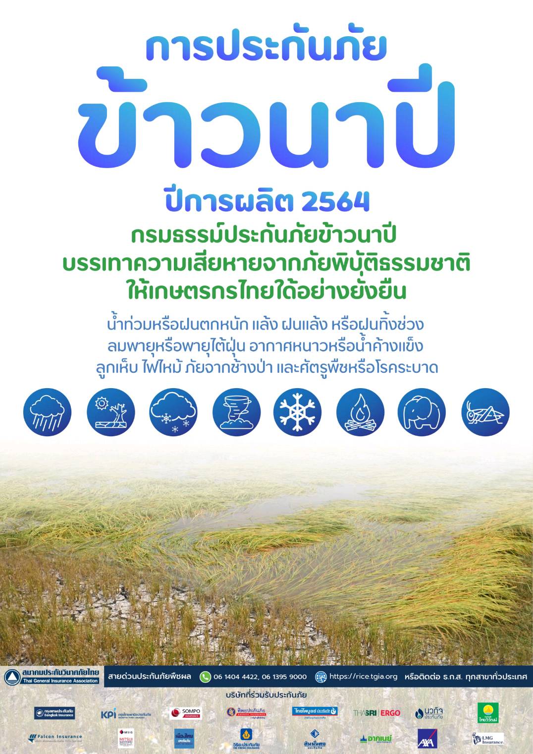 ตรวจสอบสถานะการประกันภัยข้าวนาปี ที่นี่!   พร้อม เยียวยาเกษตรกร น้ำท่วม  