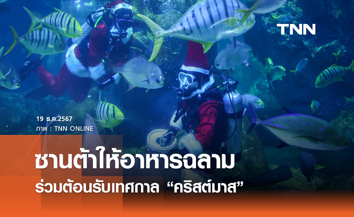 ซานต้าให้อาหารฉลาม ร่วมต้อนรับเทศกาล “คริสต์มาส”