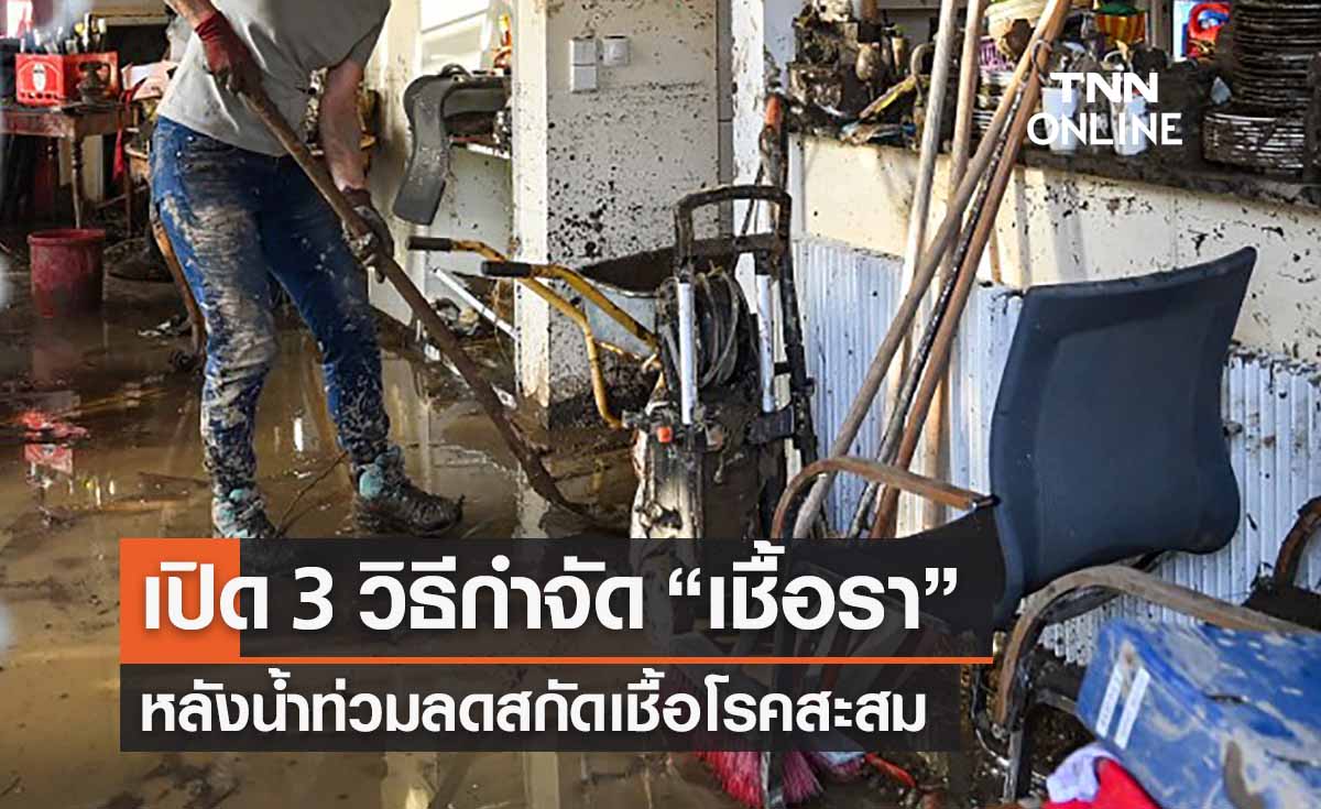 เปิด 3 วิธีกำจัด “เชื้อรา” หลังน้ำท่วมลดสกัดเชื้อโรคสะสม 