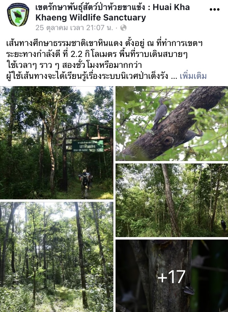 7 ที่เที่ยวอุทัยธานี 2565 ชื่นชมเสน่ห์เมืองรอง มรดกโลกห้วยขาแข้ง