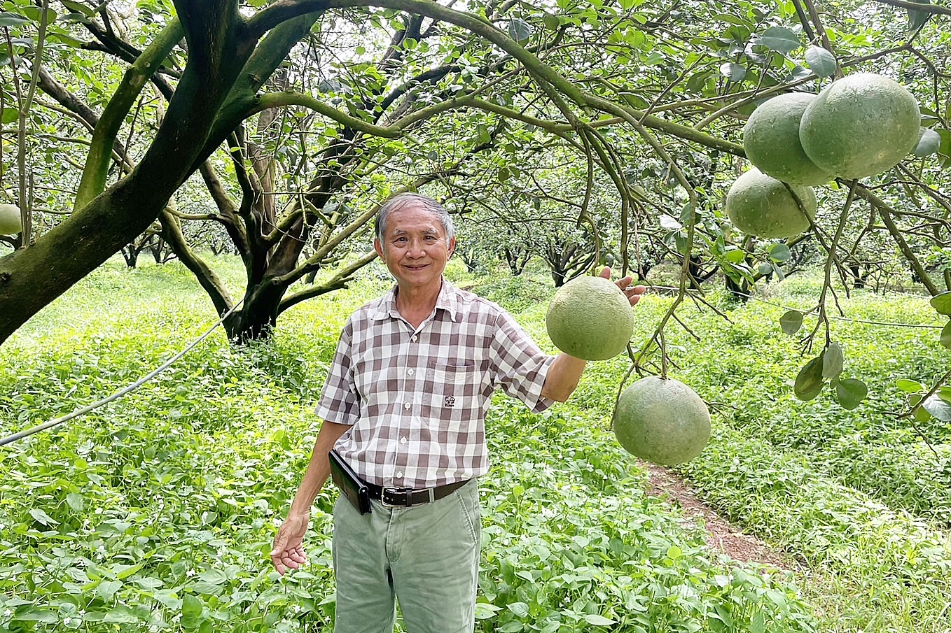 ตามไปดูเกษตรกร ได้ “น้ำปุ๋ย” จากซีพีเอฟ ช่วยก้าวผ่านวิกฤติแล้งตลอด 20 ปี ตามไปดูเกษตรกร ได้ “น้ำปุ๋ย” จากซีพีเอฟ ช่วยก้าวผ่านวิกฤติแล้งตลอด 20 ปี
