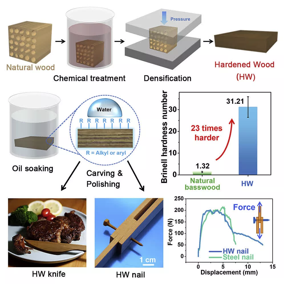 นักวิทย์ฯ เปลี่ยน ไม้ ให้มีความแข็งแรงมากกว่าเหล็กกล้าถึง 23 เท่า ใช้ทำตะปูหรือมีดได้ด้วย นักวิทย์ฯ เปลี่ยน ไม้ ให้มีความแข็งแรงมากกว่าเหล็กกล้าถึง 23 เท่า ใช้ทำตะปูหรือมีดได้ด้วย