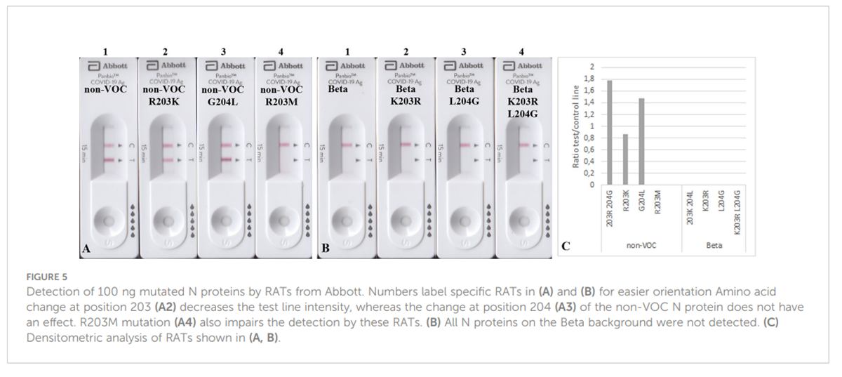 ดร.อนันต์ เผยสาเหตุชุดตรวจ ATK บางยี่ห้อ ตรวจไม่พบเชื้อโควิด-19 ดร.อนันต์ เผยสาเหตุชุดตรวจ ATK บางยี่ห้อ ตรวจไม่พบเชื้อโควิด-19